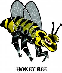 honey bee.jpg